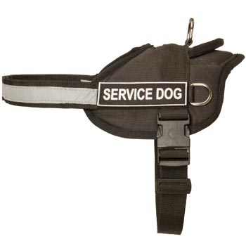 English Bulldog Harness Nylon with Reflective Strap