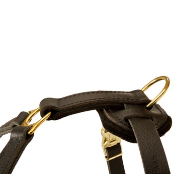 Corrosion Resistant D-ring of English Bulldog Harness