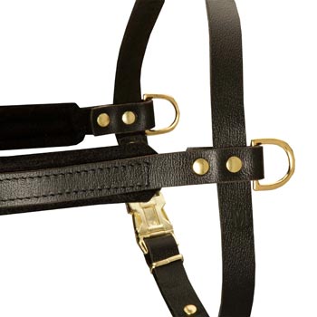 Training Pulling English Bulldog Harness with Sewn-In Side D-Rings