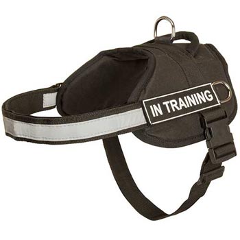 Nylon English Bulldog Harness Multifunctional All-Weather Practical