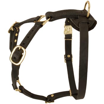 Tracking Leather Dog Harness for English Bulldog