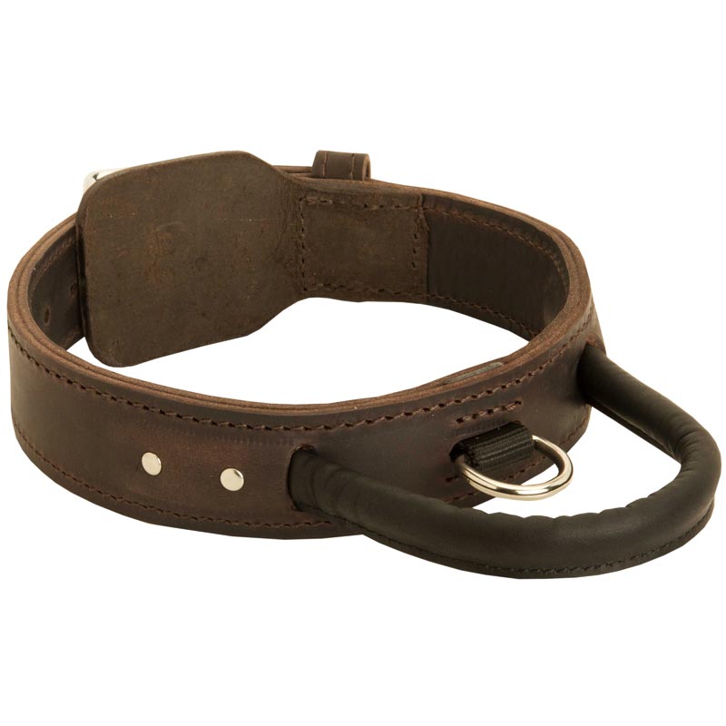 Extra Durable Leather English Bulldog Collar with Handle for Attack Training