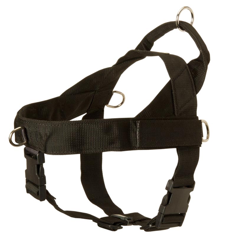 English Bulldog Harness Nylon with Patches