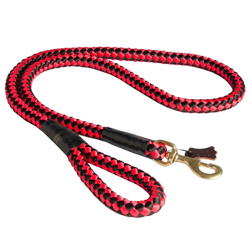 Nylon Cord English Bulldog Leash for Walking and Training
