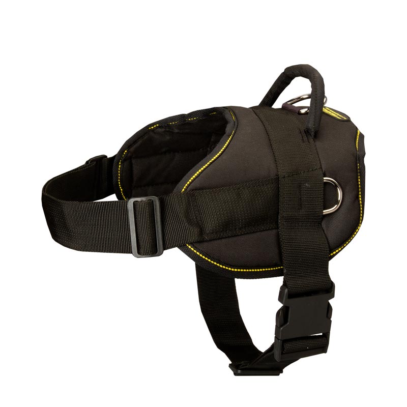 Dog harness for english bulldog sales