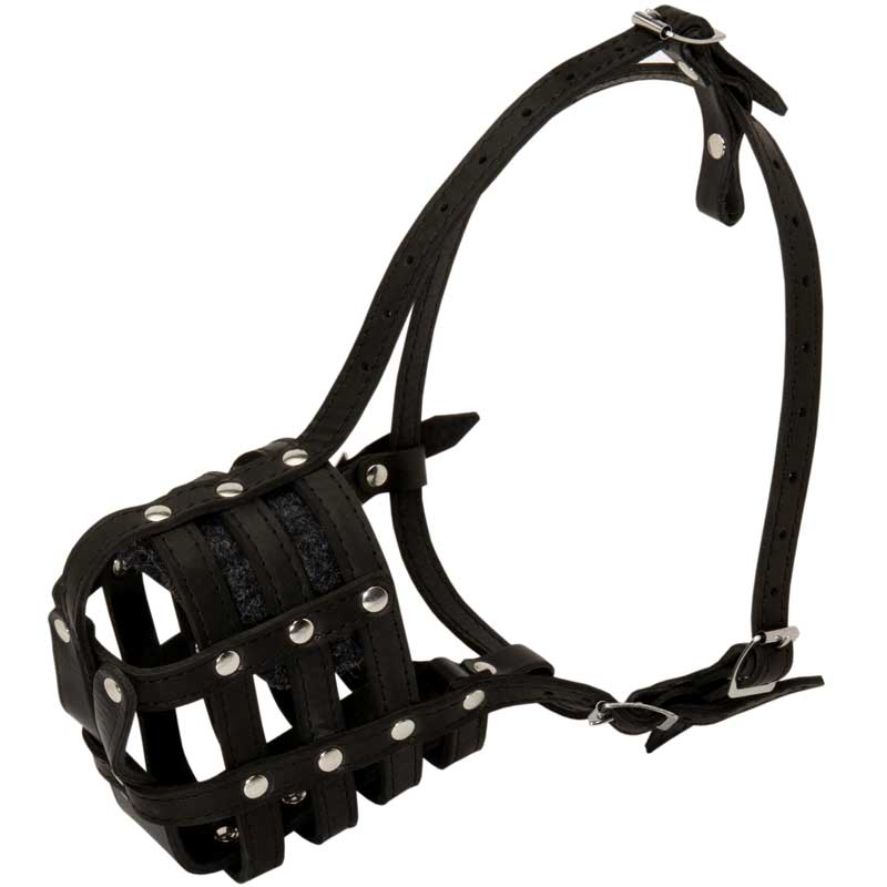 Walking and Training Leather Cage English Bulldog Muzzle