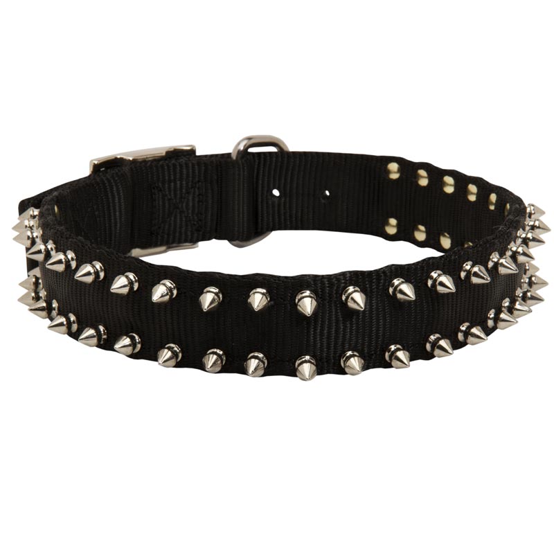 English Bulldog Nylon Collar Spiked