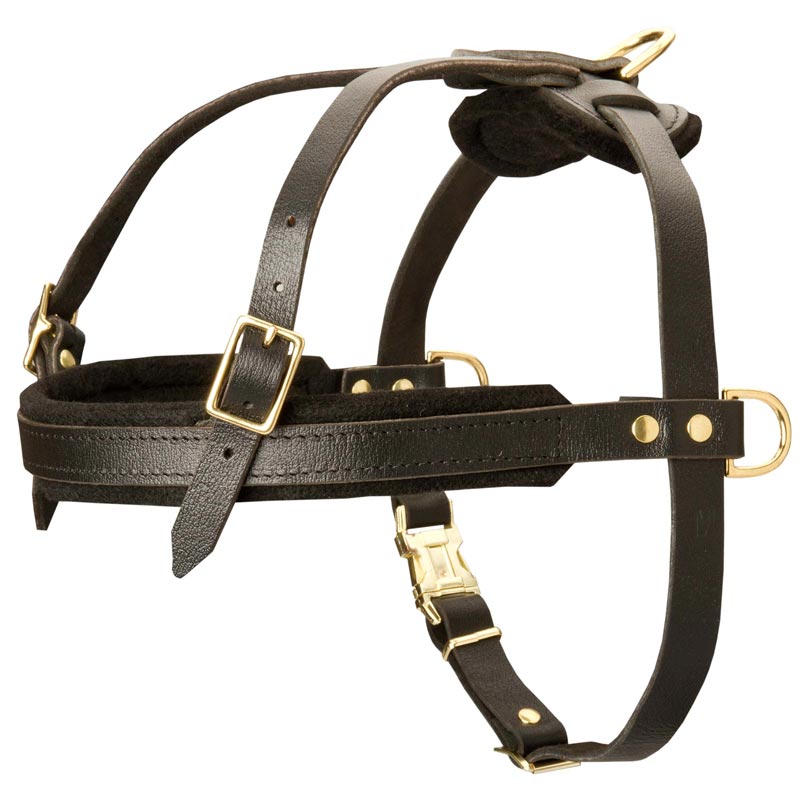 Leather English Bulldog Harness for Tracking and Pulling - Click Image to Close