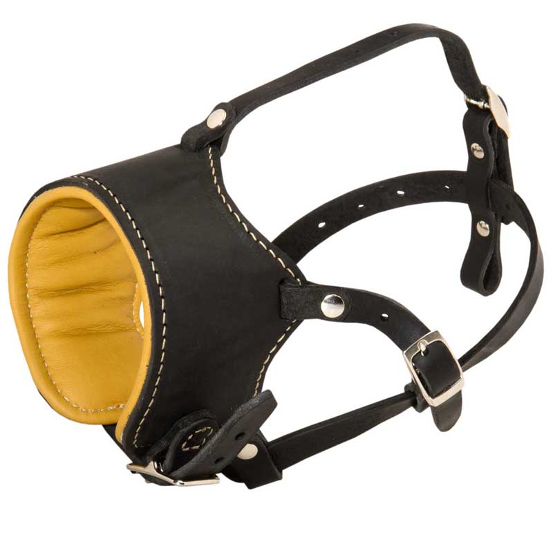 Snout Short Leather English Bulldog Muzzle Padded with Nappa Leather