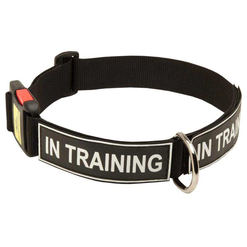 All Weather Nylon English Bulldog Collar with ID Patches