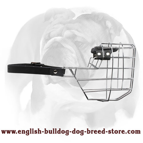 'The Silencer' Wire Cage English Bulldog Muzzle With One Strap