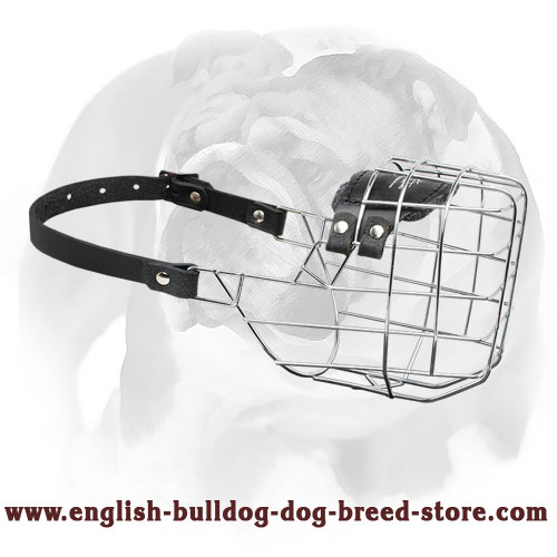 'The Silencer' Wire Cage English Bulldog Muzzle With One Strap