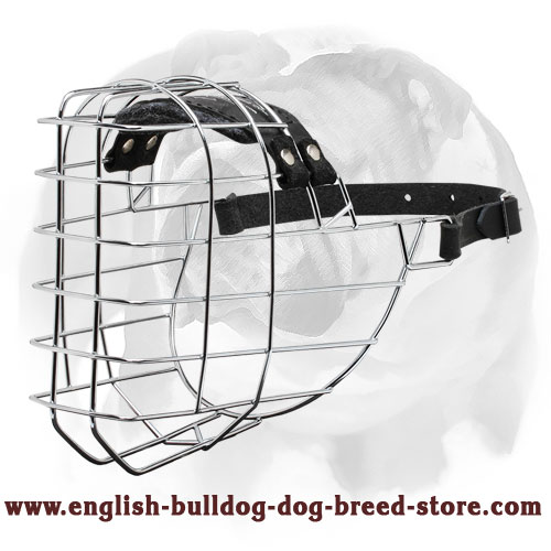 'The Silencer' Wire Cage English Bulldog Muzzle With One Strap