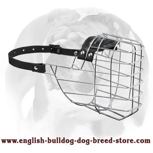 'The Silencer' Wire Cage English Bulldog Muzzle With One Strap