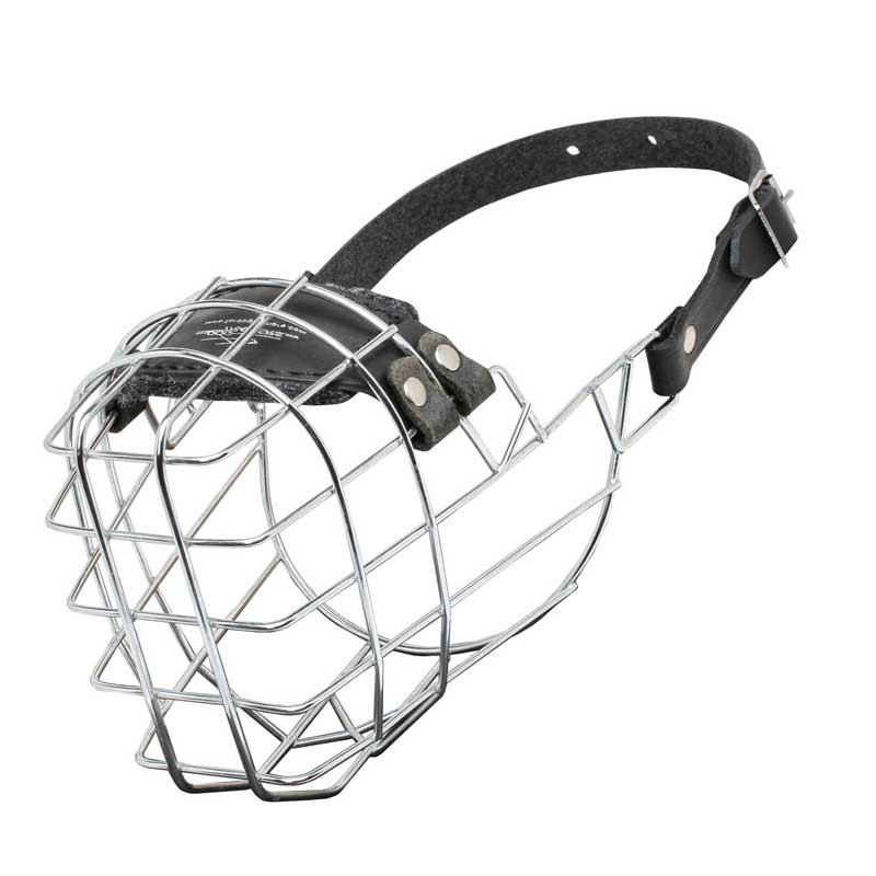 'The Silencer' Wire Cage English Bulldog Muzzle With One Strap