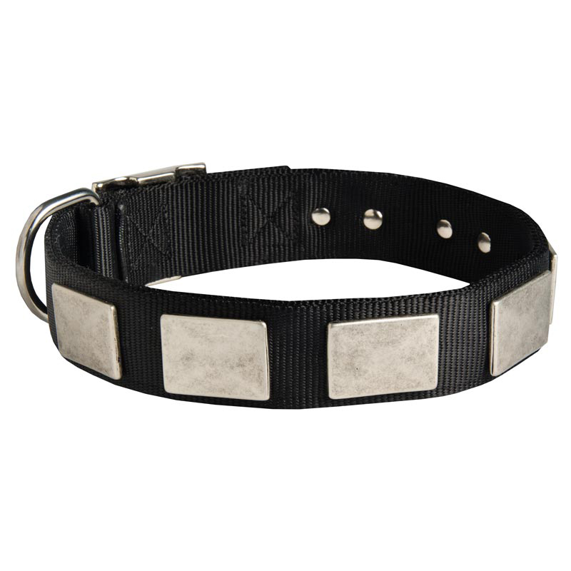 Nylon English Bulldog Collar Massive Nickel Plates