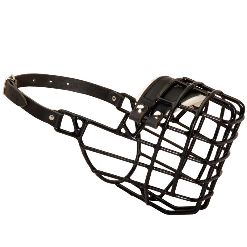 Frost-Resistant Wire Cage English Bulldog Muzzle with One Adjustable Strap
