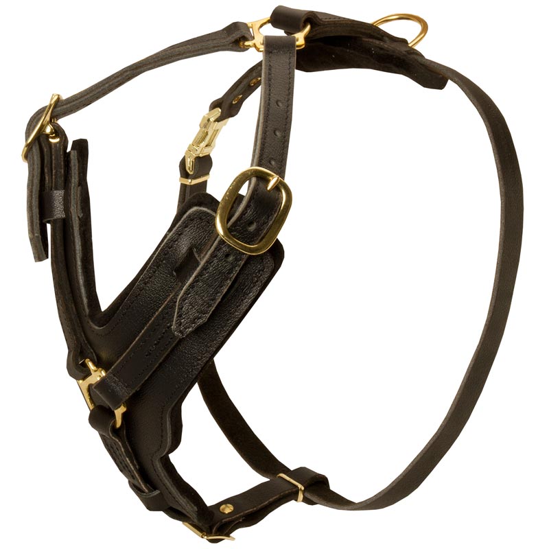 Padded Leather English Bulldog Harness for Agitation Training - Click Image to Close