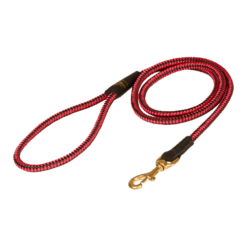 English Bulldog Nylon Leash Multifunctional