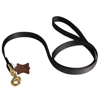 Walking English Bulldog Leash