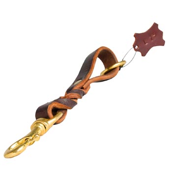 Leather Braided Leash for English Bulldog Taking Out of Car