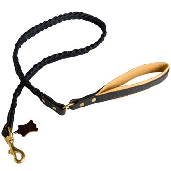 Braided Leather Dog leash with Brass Hardware