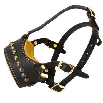 Padded Muzzle for English Bulldog