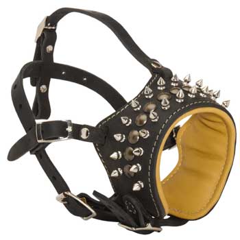 Walking Training Designer Black Dog Muzzle for English Bulldog
