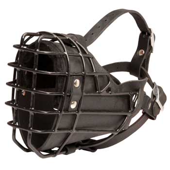 Winter Fully Wire English Bulldog Padded Muzzle Cage