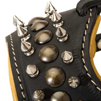 Walking Training Designer Black Dog Muzzle for English Bulldog