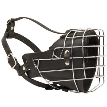 Padded on the Nose English Bulldog Muzzle